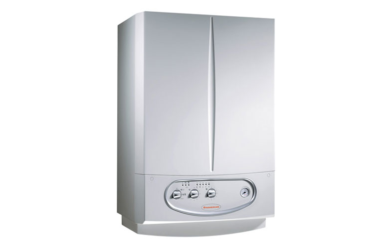 Газовый котел Immergas Zeus 24 kW