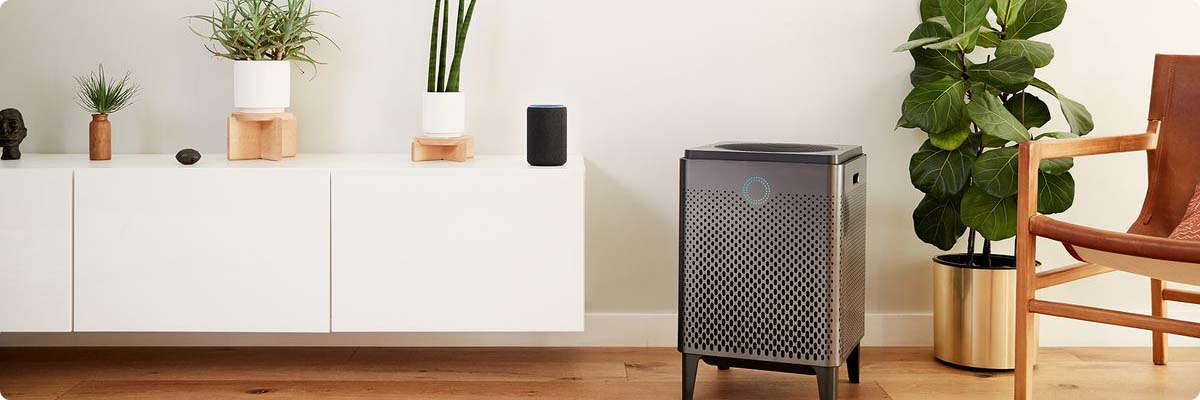 Очищувач повітря – примха чи необхідність? Очищувач повітря – примха чи необхідність?