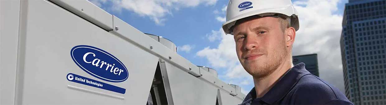 Главные ценности Carrier