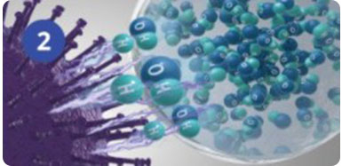 Принцип работы nanoe ™ X - Радикал ОН отнимает у вируса водород (Н).